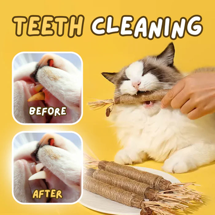 All Natural Teething Toy (2 pcs)