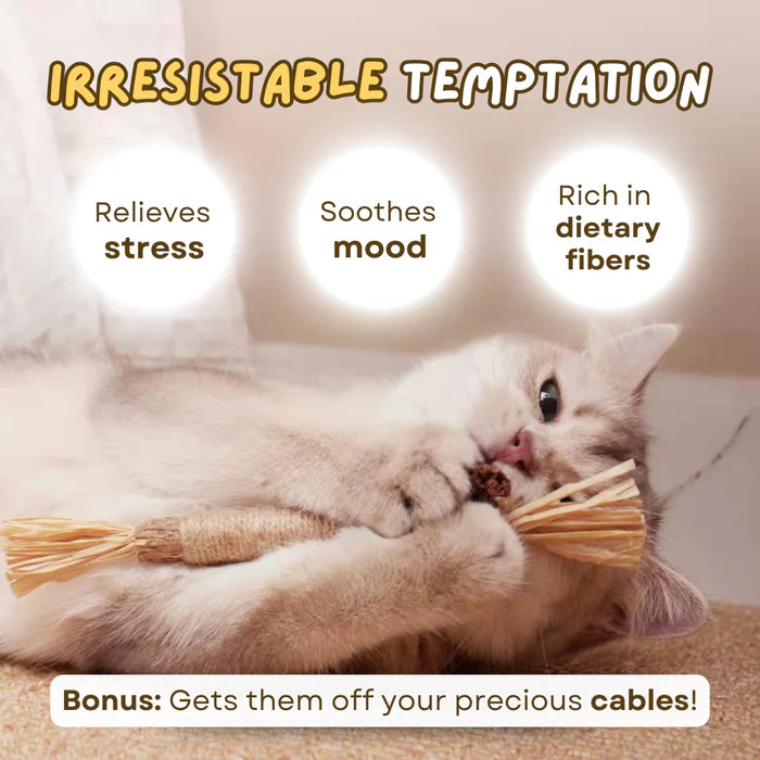 All Natural Teething Toy (2 pcs)