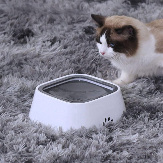 NO-SPILL WATER BOWL