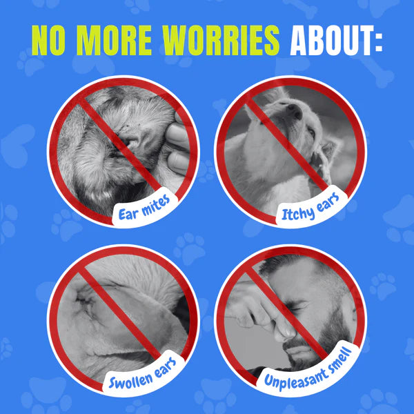 Pet Ear Drops