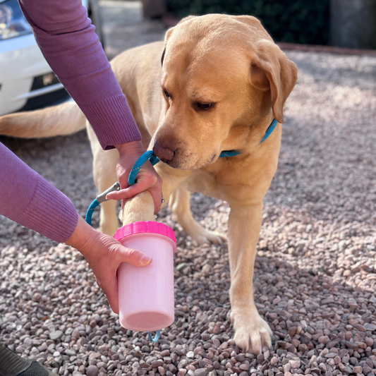 Dog Paw Cleaner