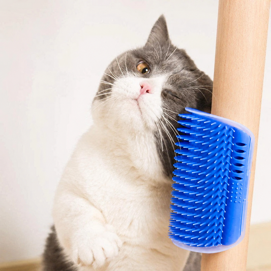 Purrcorner Groomer