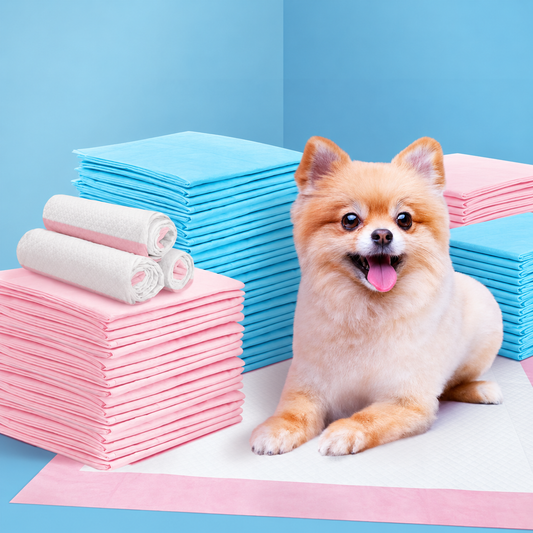 Easy Potty Pads