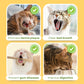 All Natural Teething Toy (2 pcs)