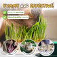 Easy Grass Grower