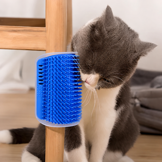 Purrcorner Groomer