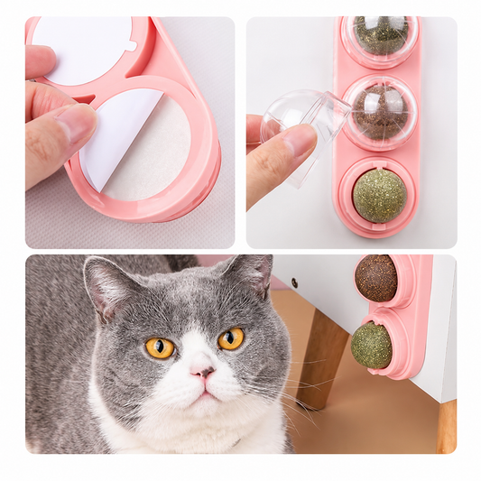Stick-on Catnip Station
