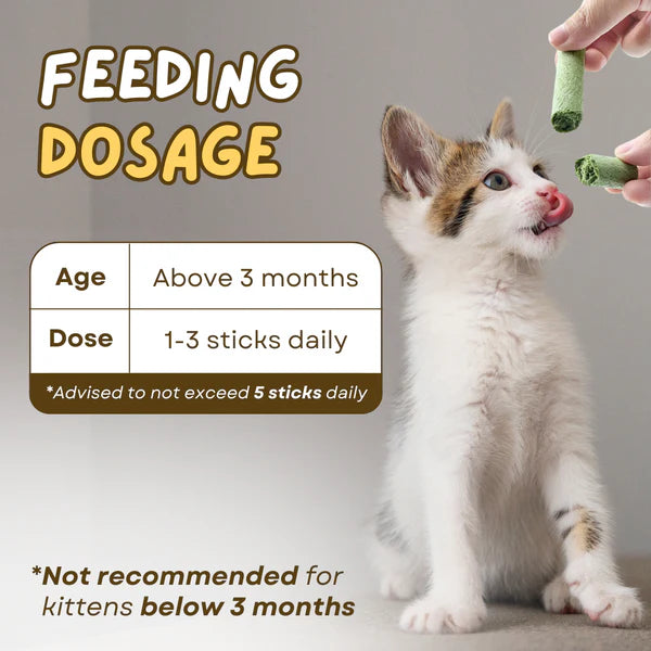 Cat Grass Teething Stick