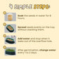 Easy Grass Grower