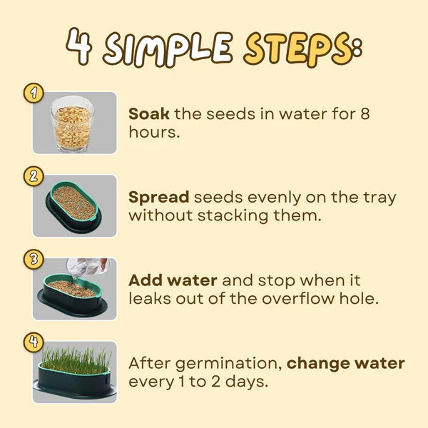 Easy Grass Grower
