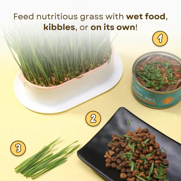 Easy Grass Grower