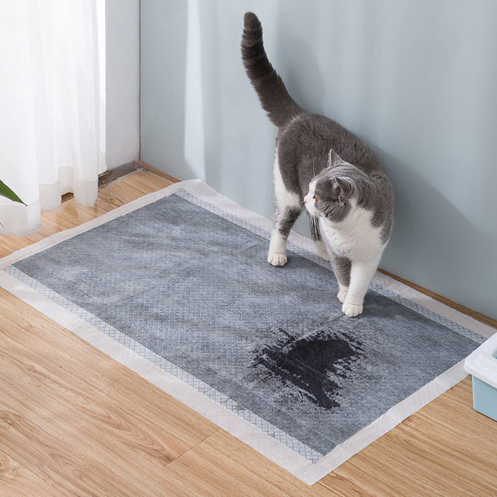 Easy Potty Pads