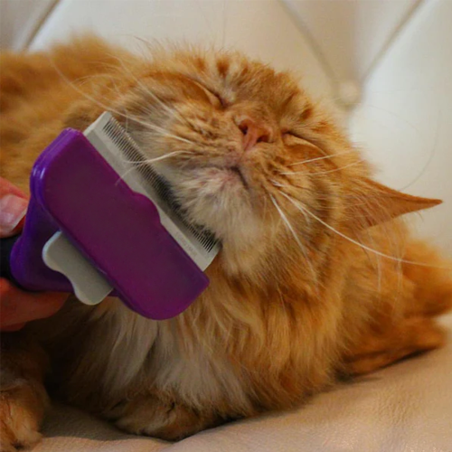 FURminator Deshedders for Cats