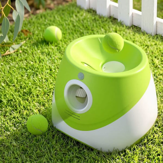 Automatic Dog Ball Launcher (Includes 6 balls)